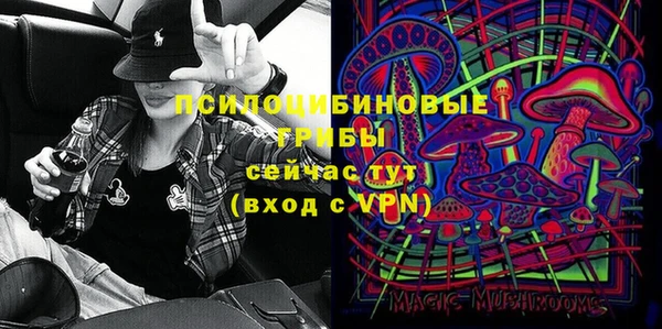шишки Рославль