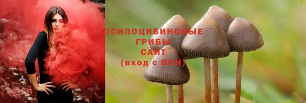 герыч Алексин